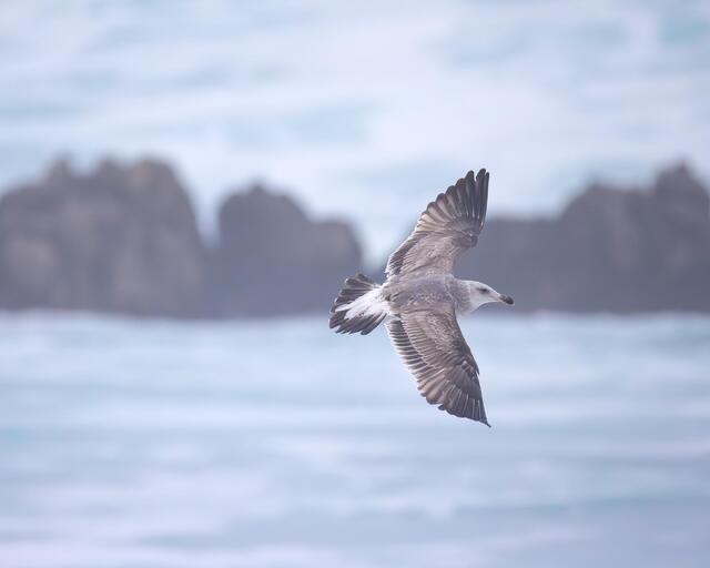 Glide Path