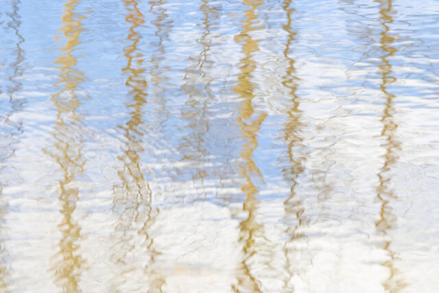 Aspen and Cloud Reflections