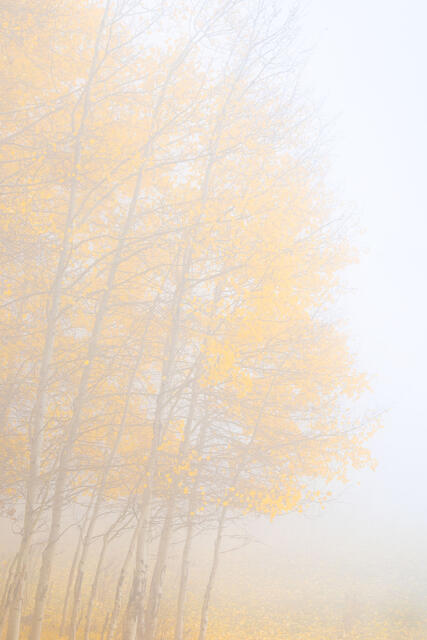 Wrapped in Quiet