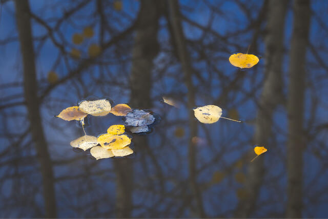 Floating By