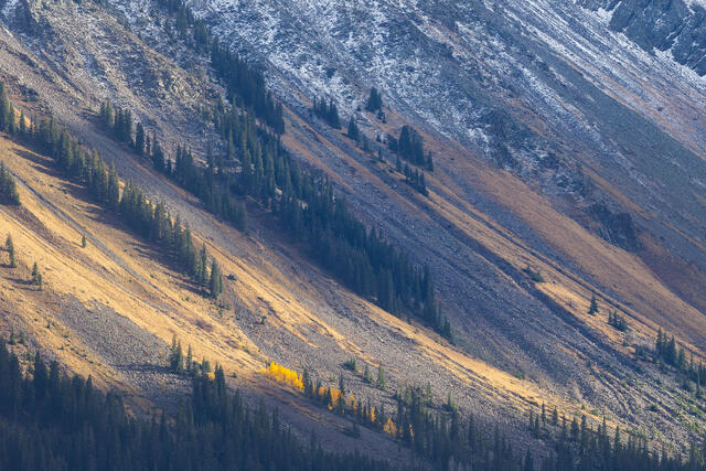 Sunlit Slopes, Mount Sneffels