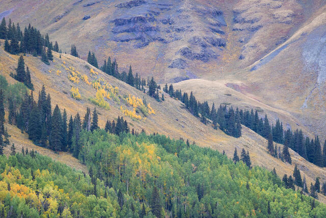 Approaching Treeline