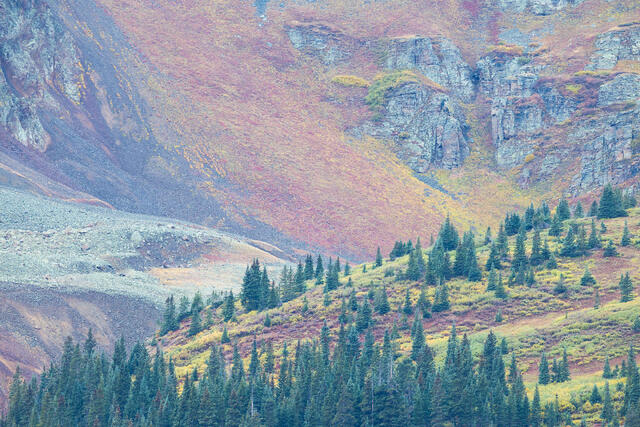 Subalpine to Alpine, Southwestern Colorado