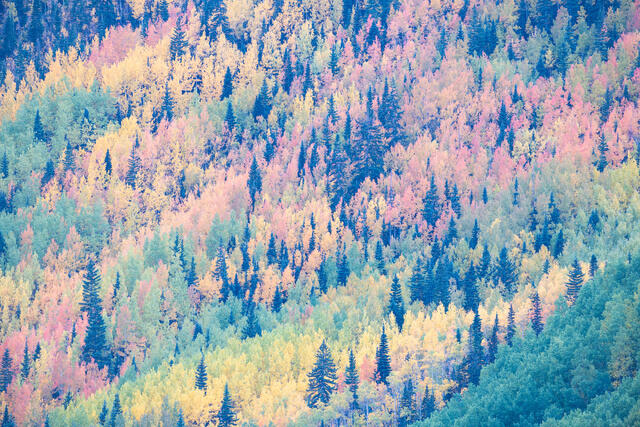 Spectrum