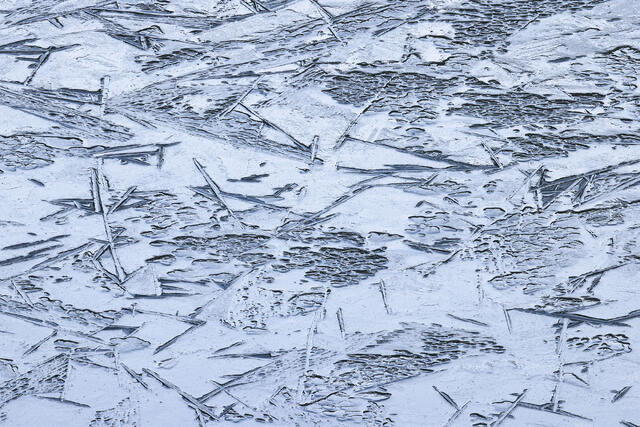 Early Autumn Ice