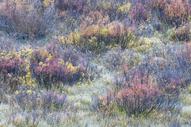 Autumn Rhythm