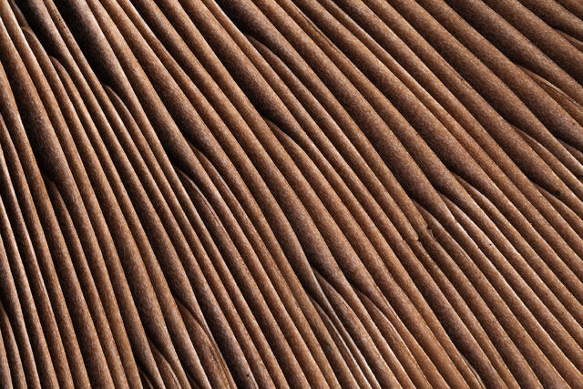 Folds - 1
