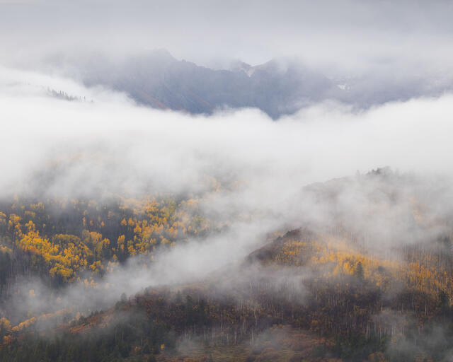 Low Clouds