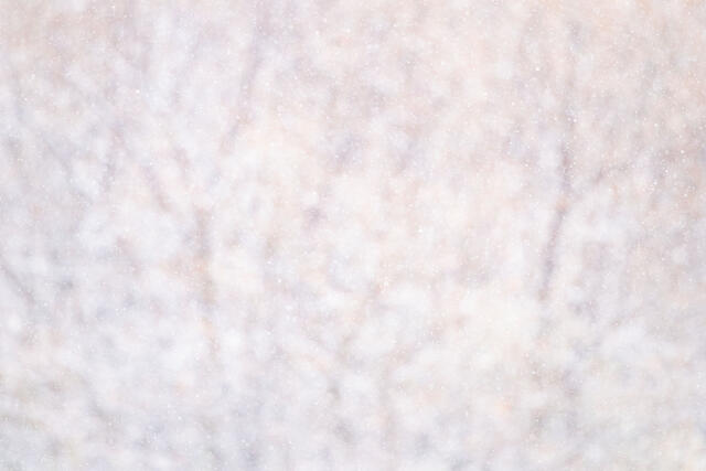 Gentle Snow
