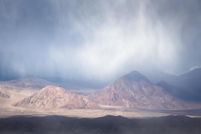 Desert Rain