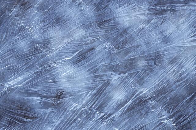Salt Feathers