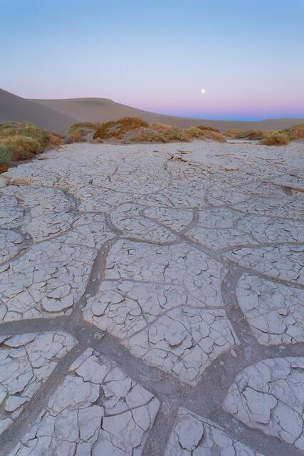 Tiles in the Dunes