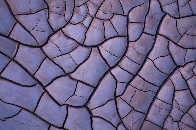 Desert Patterns