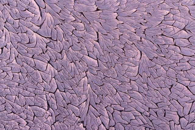 Feathers