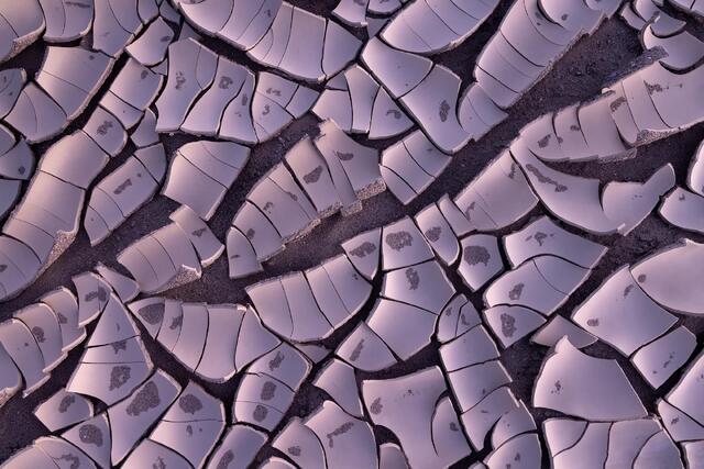 Purple Peels