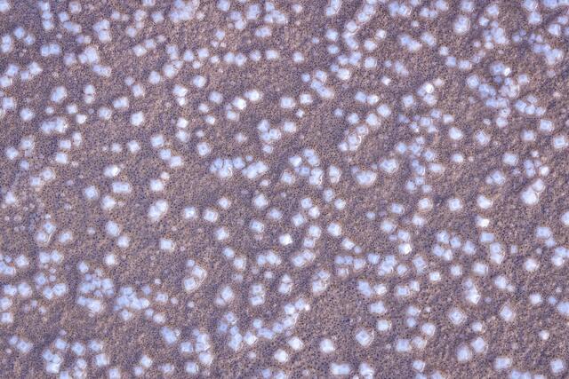 Salt Crystals