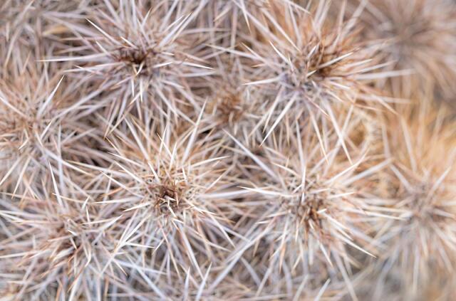 Spikes