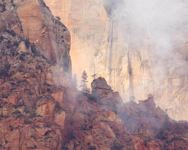 Canyon Companions