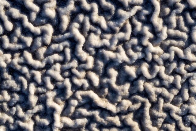 Salt Snakes