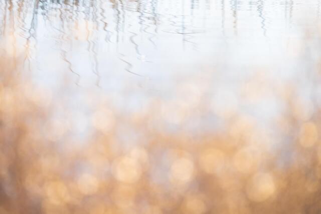 Rippled Reeds