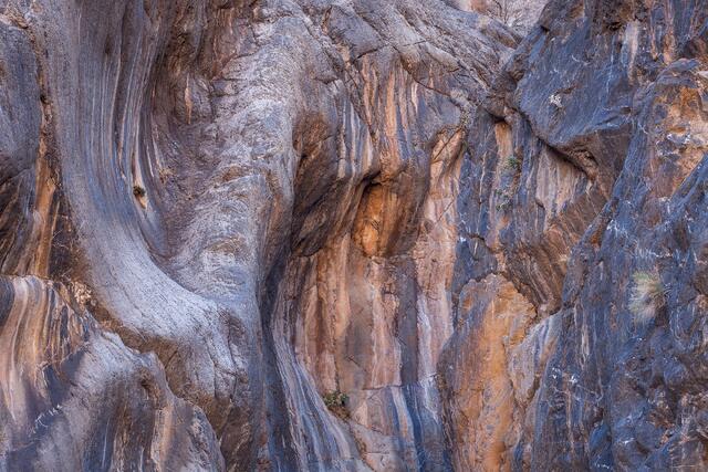 Canyon Folds