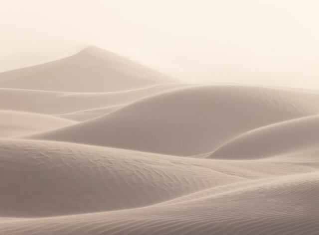 Sand Storm
