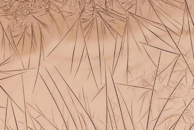 Fractures