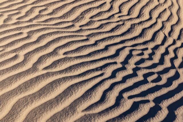 Dune Ripples