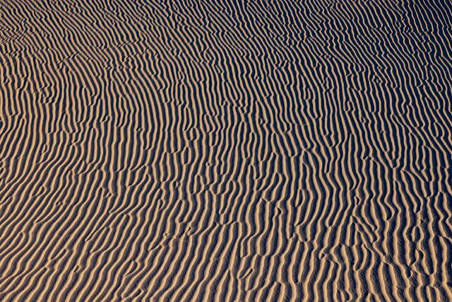 So Many Sand Ripples