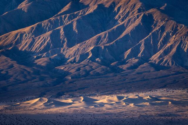 Tiny Dunes