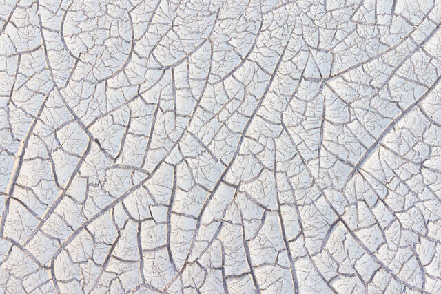 Bright Tiles