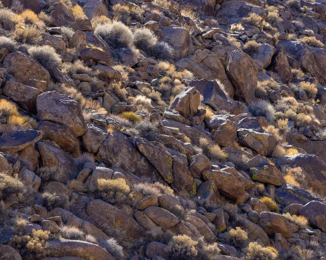Rock Garden