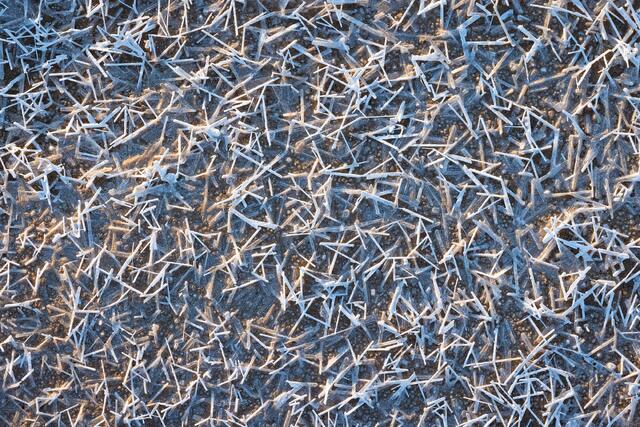 Salt Sticks