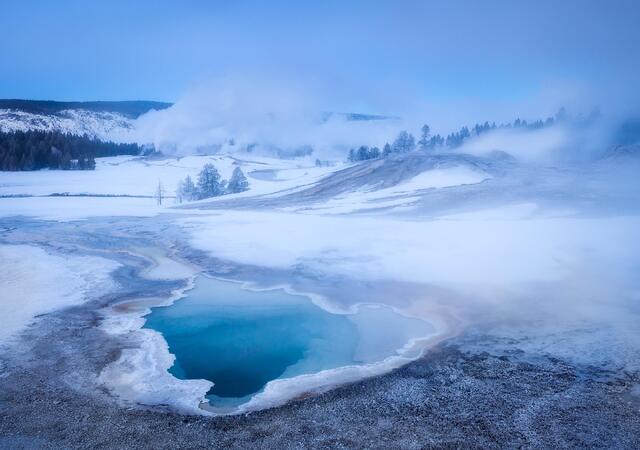 Winter's Grace