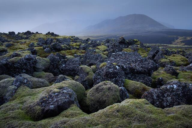 Iceland #1
