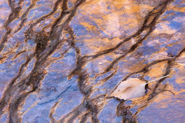 Icy Terraces