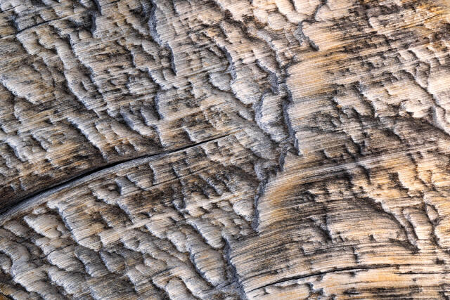 With the Grain