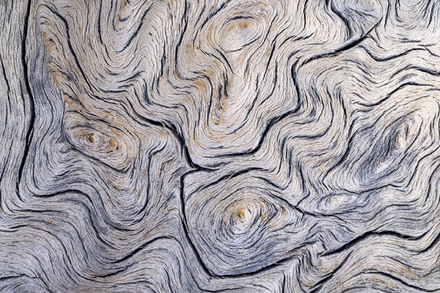 Rhythmic Curves