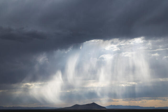 Falling Light
