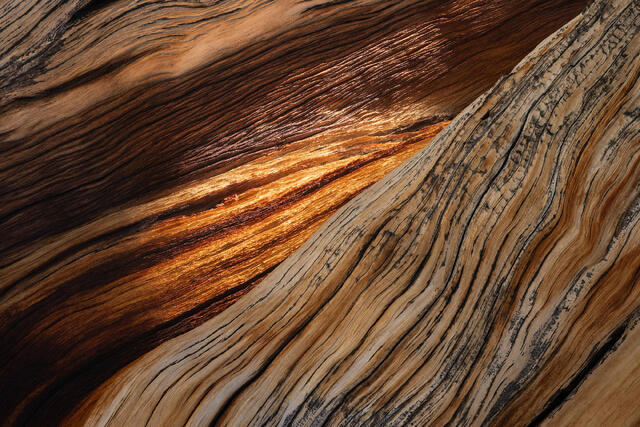 Folds
