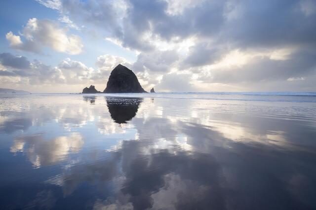 Infinity Pool