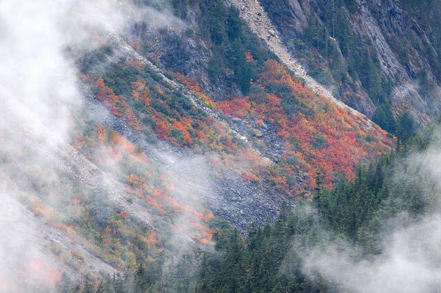 Swaths of Color