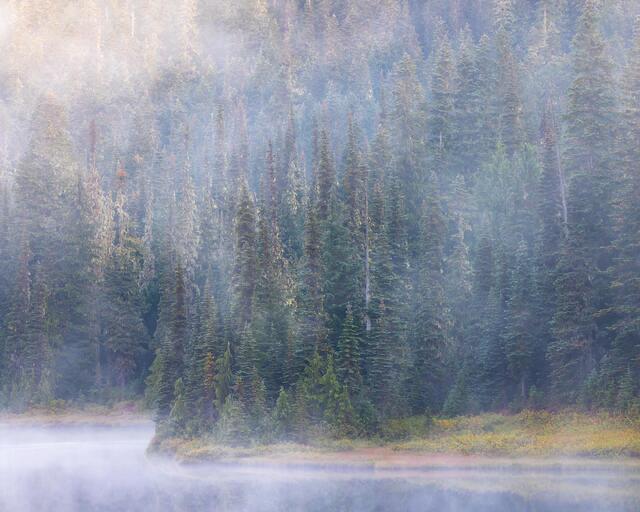 Morning Mist