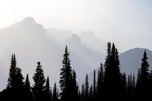 Mount Rainier National Park - #2