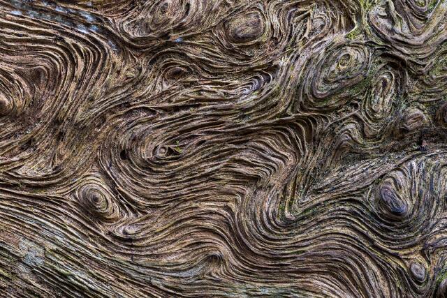 Tiny Burls
