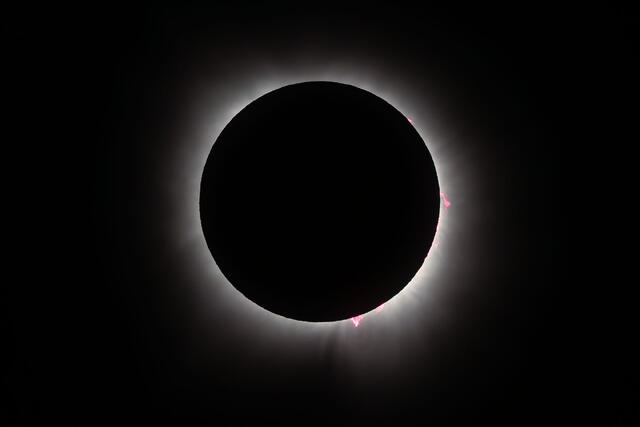 Solar Prominences