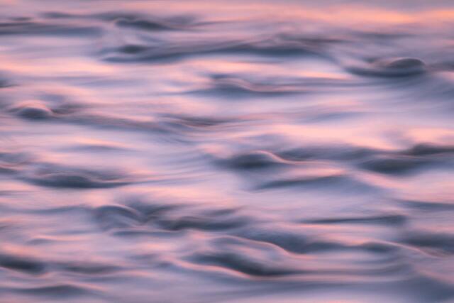 Pink Waves