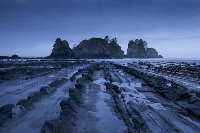 Olympic National Park