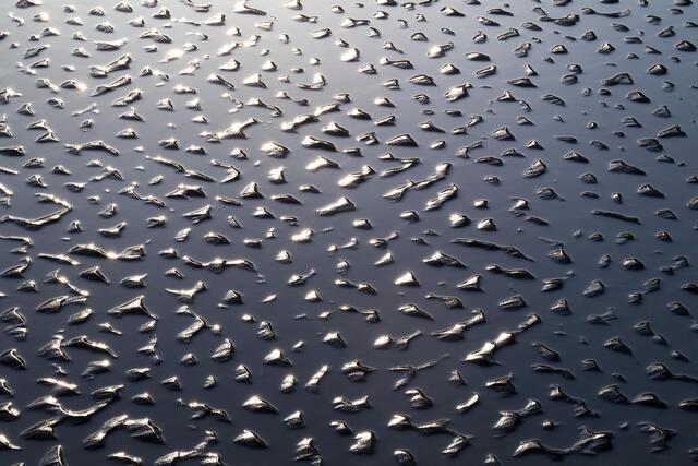Speckles