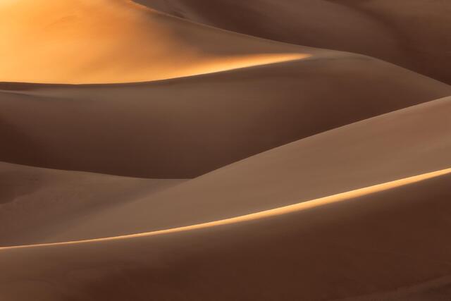 Light and Shadow 